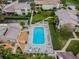 Aerial view of community pool surrounded by lush landscaping, seating, and well-kept condos at 4114 Pinelake Ln # 202, Tampa, FL 33618