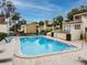 Community swimming pool in a villa community with deck space and lounge chairs at 4114 Pinelake Ln # 202, Tampa, FL 33618