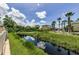Natural Florida habitat in the backyard with a small stream and lush greenery at 5030 Herring Ct, New Port Richey, FL 34652