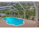 A kidney-shaped pool is surrounded by a screened enclosure, and landscaped planters at 5102 Peacock, Holiday, FL 34690