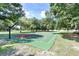 Community basketball court with nets and green surface at 7101 Bucks Ford Dr, Riverview, FL 33578