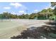Community tennis courts with professionally painted surface and lighting and mature tree border at 7101 Bucks Ford Dr, Riverview, FL 33578