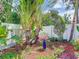 Lush garden featuring tropical plants, flowers, and decorative bird figurines at 7111 Lawnview Ct, Tampa, FL 33615