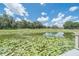 Scenic pond view featuring water lilies and a fountain, set against a clear blue sky with scattered clouds at 7301 Loghouse Rd, Plant City, FL 33565