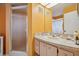 Bathroom featuring a single sink vanity and a walk-in shower at 7810 Flintlock Dr, Port Richey, FL 34668