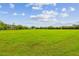 Lush green expansive grassy lot suitable for diverse recreational activities or development at 820 Newberger Rd, Lutz, FL 33549