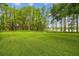 Expansive backyard featuring a lush green lawn, American flag, and beautiful views of the lake at 820 Newberger Rd, Lutz, FL 33549