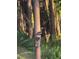 Birdhouse and duck in lush green backyard with mature trees at 820 Newberger Rd, Lutz, FL 33549