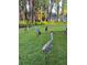 Backyard view featuring sandhill cranes, lush lawn, and cypress trees along the lake at 820 Newberger Rd, Lutz, FL 33549