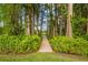 Picturesque view of a wooden dock leading to a peaceful lake at 820 Newberger Rd, Lutz, FL 33549