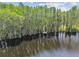 Scenic aerial view of a lake with trees and a dock, showcasing the natural beauty of the property at 820 Newberger Rd, Lutz, FL 33549