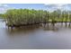 Picturesque aerial lake view showing green trees and lake with calm waters at 820 Newberger Rd, Lutz, FL 33549