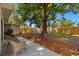 Large backyard with a mature tree, a wood fence and two chairs on the patio at 8485 Pelican Ln, Seminole, FL 33777