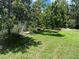 Spacious backyard featuring a lush lawn and mature trees providing shade and a serene atmosphere at 1247 Gentilly Ln, Wesley Chapel, FL 33544
