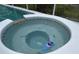 Up close view of the hot tub with tile and a small boat toy floating at 1247 Gentilly Ln, Wesley Chapel, FL 33544