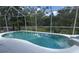 Backyard swimming pool in a screened enclosure with lush green scenery beyond at 1247 Gentilly Ln, Wesley Chapel, FL 33544