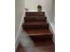 Elegant staircase with dark wood treads and white risers, leading to the upper level at 1247 Gentilly Ln, Wesley Chapel, FL 33544