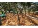 Shaded playground featuring play structures, a slide, and climbing equipment for enjoyment at 3150 San Jose St, Clearwater, FL 33759