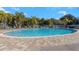 Community pool with brick paver decking, lounge chairs, and lush tropical landscaping offering a relaxing atmosphere at 3315 58Th S Ave # 421, St Petersburg, FL 33712