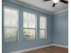 Bright bedroom with three large windows, wood laminate floors, and light blue walls, creating a serene atmosphere at 4146 Bexley Village Dr, Land O Lakes, FL 34638