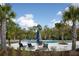 Resort-style pool area surrounded by palm trees and lounge chairs at 4146 Bexley Village Dr, Land O Lakes, FL 34638
