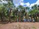 Pond surrounded by palm trees at 474 Hinton St, Port Charlotte, FL 33954