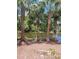 Scenic pond view, lined with stately palms and lush foliage, creates a tranquil tropical escape at 474 Hinton St, Port Charlotte, FL 33954