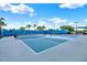 Tennis and pickle ball courts are set against a backdrop of lush landscaping and blue skies at 6019 Shorebird Br, Land O Lakes, FL 34638