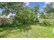 Lush backyard with a privacy fence and mature trees provides a tranquil outdoor space at 9329 Wellstone Dr, Land O Lakes, FL 34638