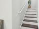 A stairway with white risers, wood treads, and a white handrail at 9329 Wellstone Dr, Land O Lakes, FL 34638