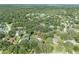 Aerial view of the property showcasing lush surroundings in a neighborhood with mature trees at 11307 Sandpine Rd, Riverview, FL 33569