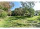 Lush backyard featuring mature trees and sprawling green space, perfect for outdoor activities at 11307 Sandpine Rd, Riverview, FL 33569