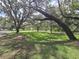 A sprawling front yard boasts mature trees offering shade and picturesque neighborhood views at 11307 Sandpine Rd, Riverview, FL 33569