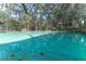 Large screened-in swimming pool with trees surrounding the screened in area at 11307 Sandpine Rd, Riverview, FL 33569