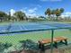 Outdoor tennis courts in the sunshine with a bench and palm trees, ready for a match at 12132 Capri S Cir, Treasure Island, FL 33706
