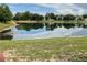 Scenic view of the pond and surrounding greenery at 15733 Stable Run Dr, Spring Hill, FL 34610