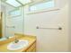 Bathroom featuring a mirror, a window, and a single sink at 15917 Dover Cliffe Dr, Lutz, FL 33548