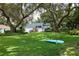 Charming front yard with a tree swing, mature trees and a lush green lawn at 15917 Dover Cliffe Dr, Lutz, FL 33548