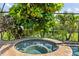 Spa with brick border and green leafy outdoor view at 165 Mobbly Bay Dr, Oldsmar, FL 34677