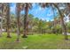 Expansive backyard with a mix of grass, palm trees, and tropical vegetation under a blue sky at 4173 85Th N St, St Petersburg, FL 33709