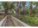 Elevated wooden boardwalk winds through lush greenery, ferns, and palm trees at 4173 85Th N St, St Petersburg, FL 33709