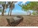 Scenic waterfront view with a rustic bench made from a log, palm trees, and calm water at 4173 85Th N St, St Petersburg, FL 33709