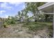 Landscaped backyard with partial fence and mature trees at 7625 Marechal Ave, Port Richey, FL 34668
