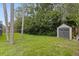 Spacious backyard featuring mature trees, lush greenery, and a convenient storage shed at 10053 W Bay St, Seminole, FL 33776
