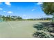 Well-maintained community tennis courts surrounded by lush greenery, perfect for active residents at 10520 White Lake Ct # 10520, Tampa, FL 33626