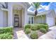 Welcoming home with lush landscaping, including a mature palm, and a decorative front door with glass window at 13602 Fawn Ridge Blvd, Tampa, FL 33626