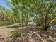 Private backyard featuring mature trees, lush landscaping, and a partial view of home's exterior at 1843 Berg Rd, Holiday, FL 34690