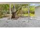 View of a spacious backyard from under covered patio featuring mature trees and landscaping at 1843 Berg Rd, Holiday, FL 34690