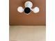 This exterior shot shows the white floodlight fixtures mounted to a painted overhang at 1913 W Saint Conrad St, Tampa, FL 33607