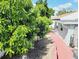 Backyard featuring lush greenery, trees, and a well-maintained yard at 1918 Crown Park Dr, Valrico, FL 33594